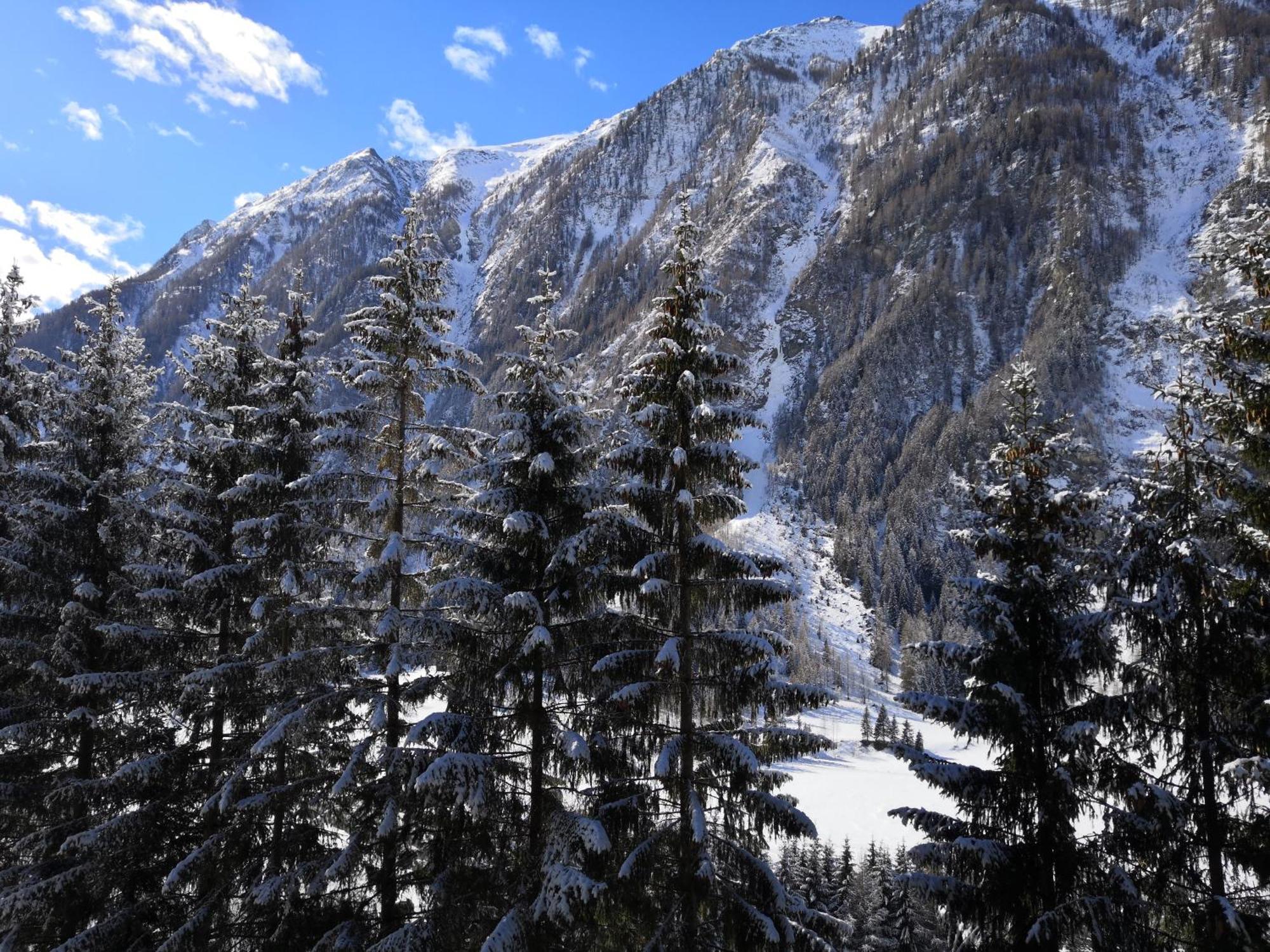 Berghaus Glockner, Niedermeyer Lägenhet Heiligenblut Exteriör bild